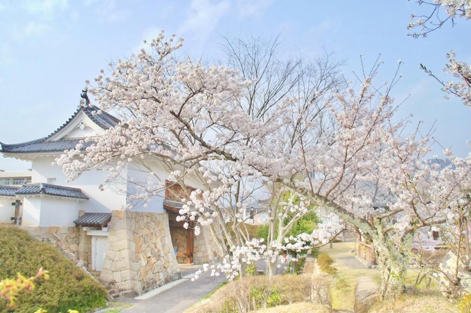 古民家の宿宰嘉庵 Traditionaljapanisehotel Saikaan Maizuru Exteriör bild