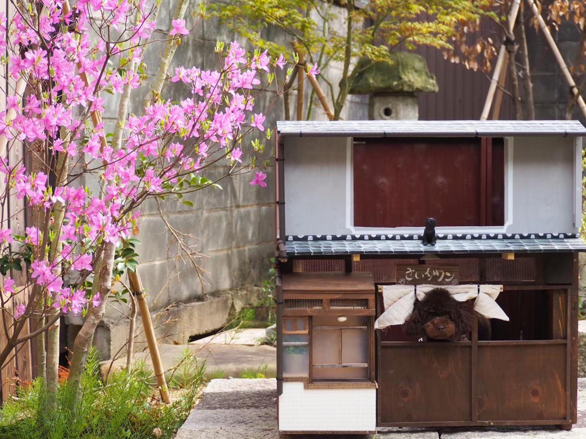 古民家の宿宰嘉庵 Traditionaljapanisehotel Saikaan Maizuru Exteriör bild