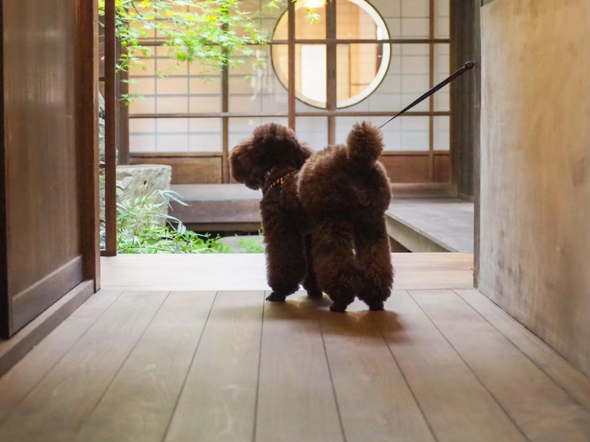 古民家の宿宰嘉庵 Traditionaljapanisehotel Saikaan Maizuru Exteriör bild